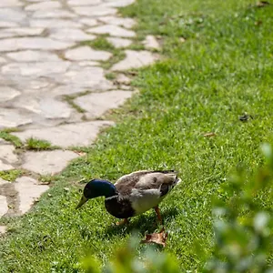 https://garden-beach-torremolinos.hotelsinnerja.org