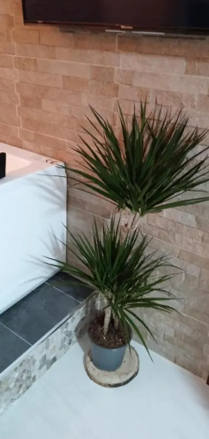 Estudio Jacuzzi Sol De Jerez Jerez de la Frontera Apartment